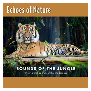 蓬莱仙岛之东方之女
